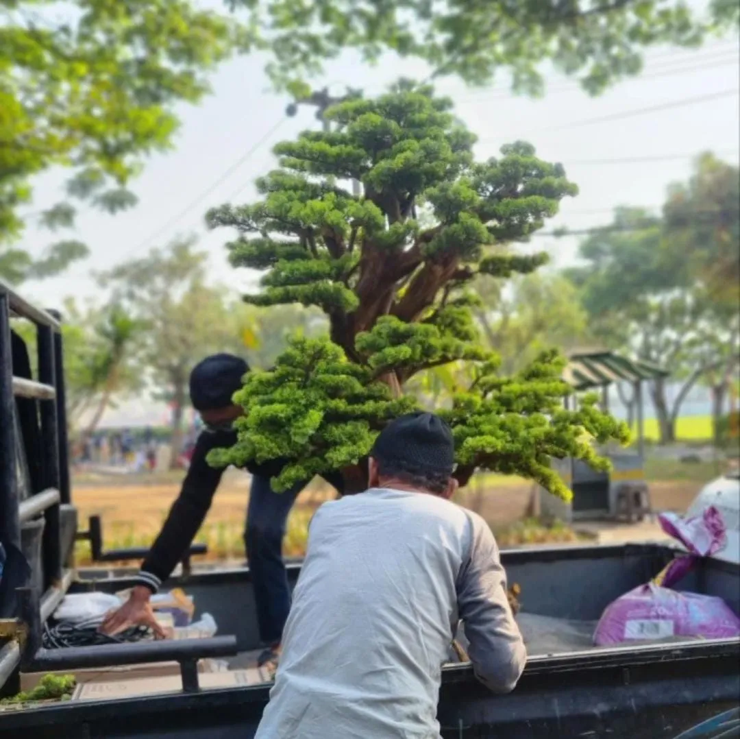 jual bonsai sintetis